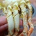 黄金蟹