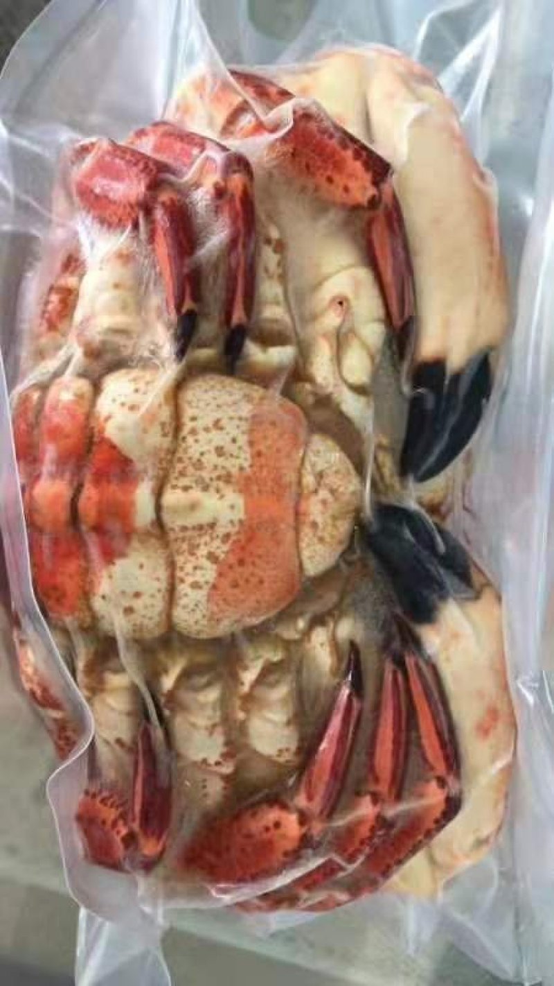 黄金蟹
