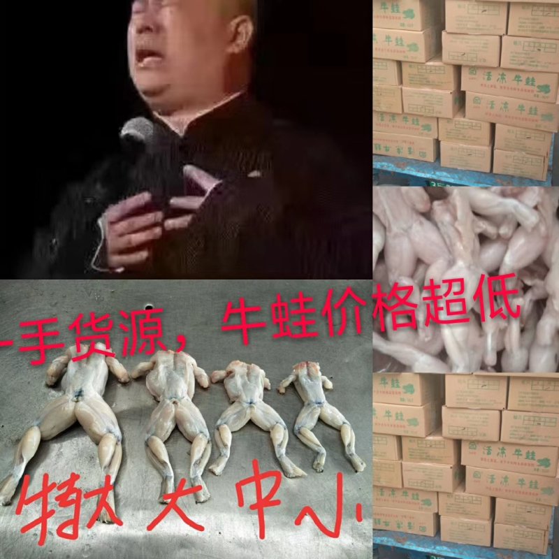 牛蛙，一手货源，货美价廉。