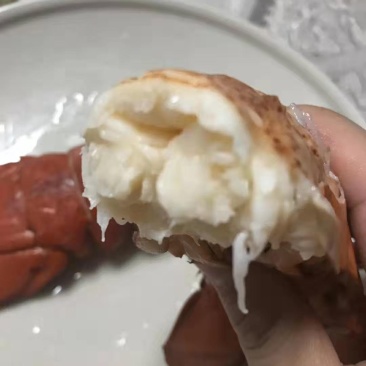 澳洲龙虾尾