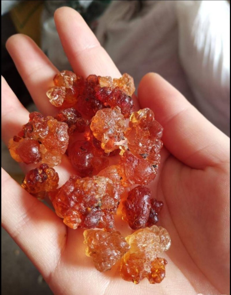 【湖北桃胶】简修颗粒黄红桃胶，桃花泪，产地直销一手货源
