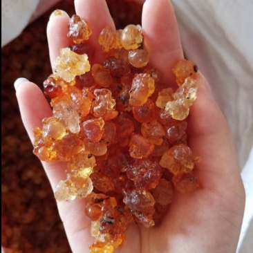 【湖北桃胶】简修颗粒黄红桃胶，桃花泪，产地直销一手货源