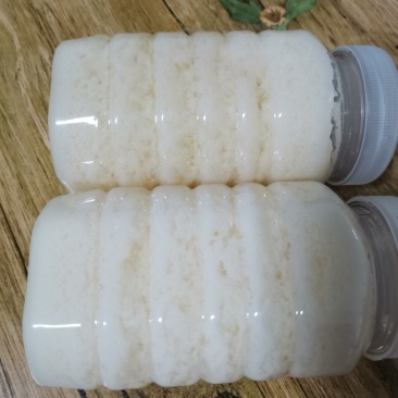 东北椴树蜜，百花蜜，花粉，蜂王浆，