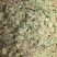 马蹄筋，小金钱草，贵州安顺野生药材