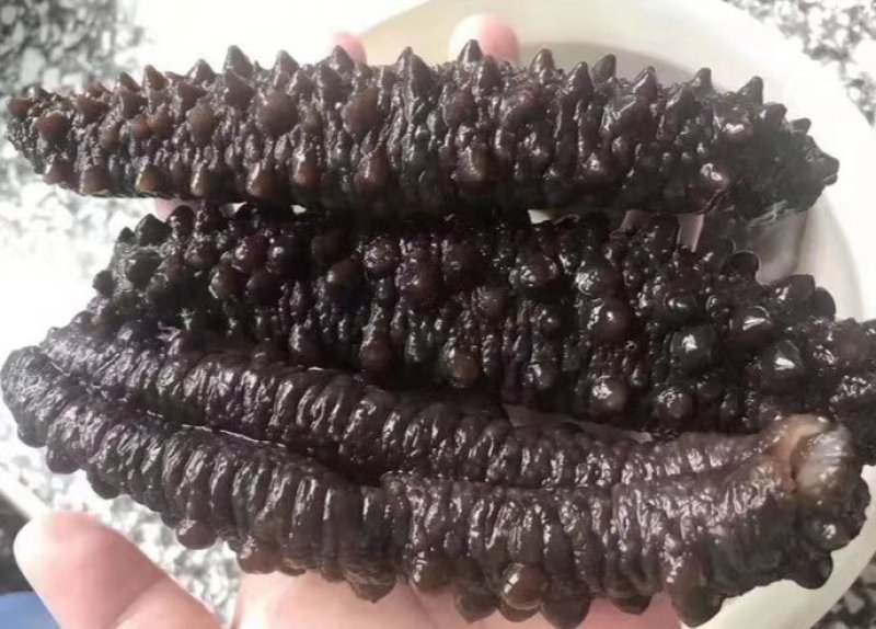 各种海参海产品礼盒