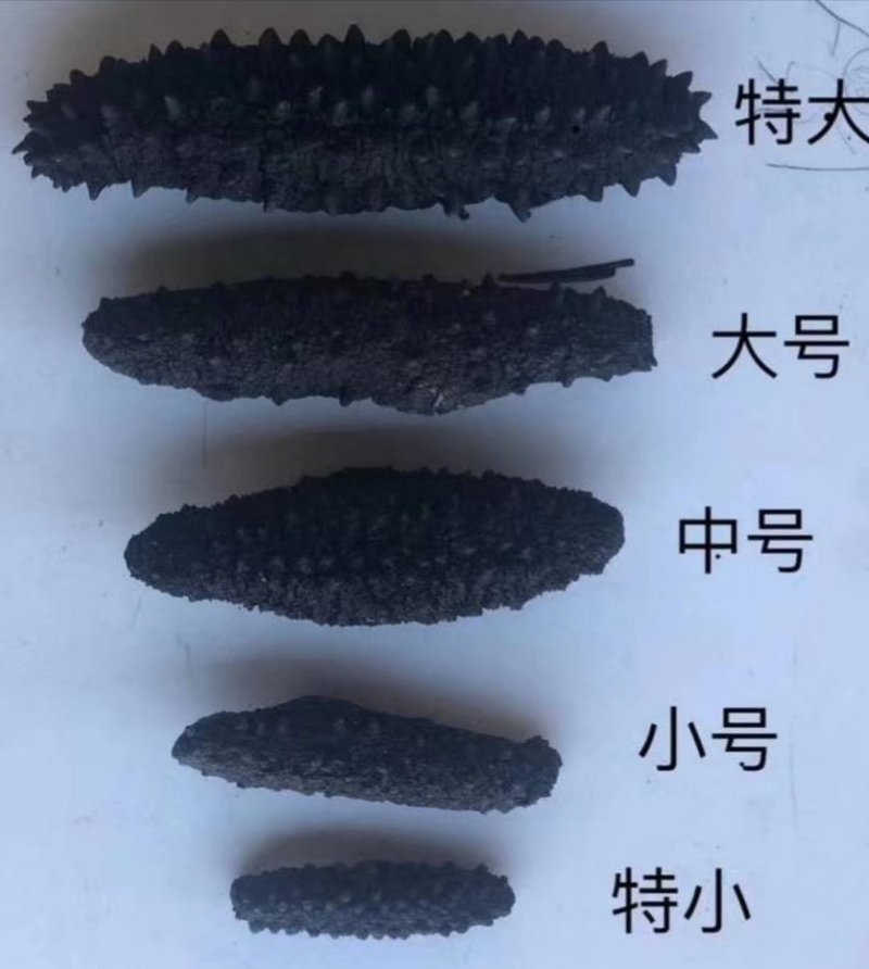 各种海参海产品礼盒