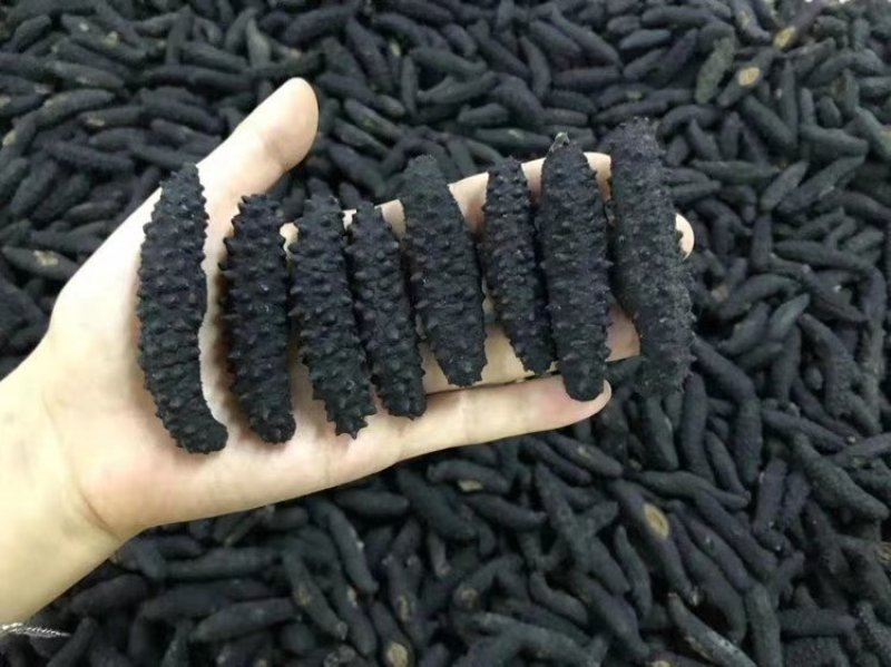 各种海参海产品礼盒