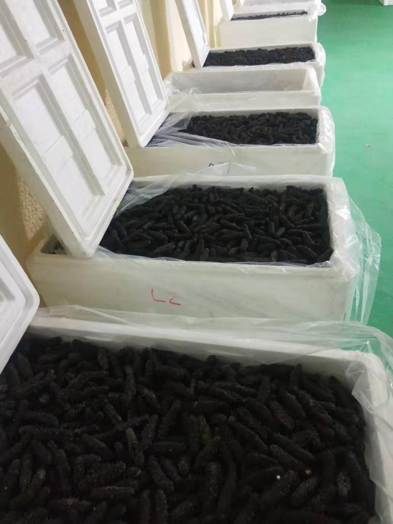 各种海参海产品礼盒