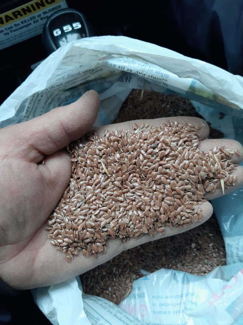 哈萨克斯坦🇰🇿优质亚麻籽