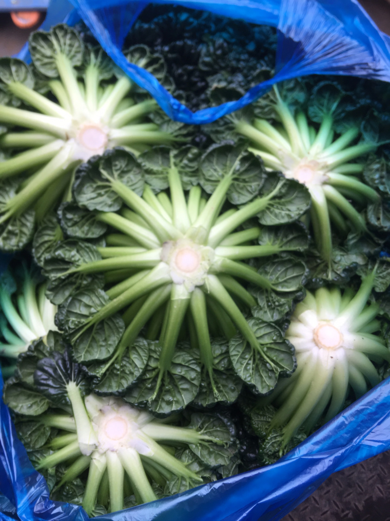 黄心菜支持周边城市送货，支持全国发货