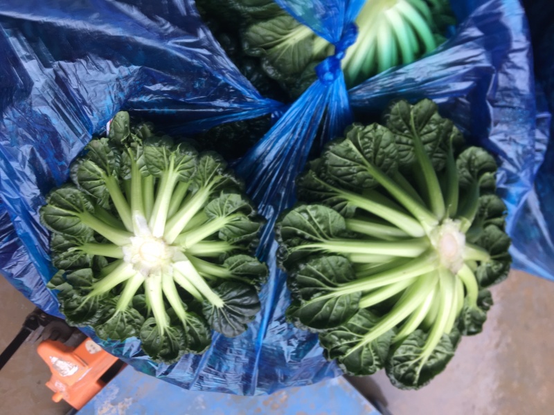 黄心菜支持周边城市送货，支持全国发货