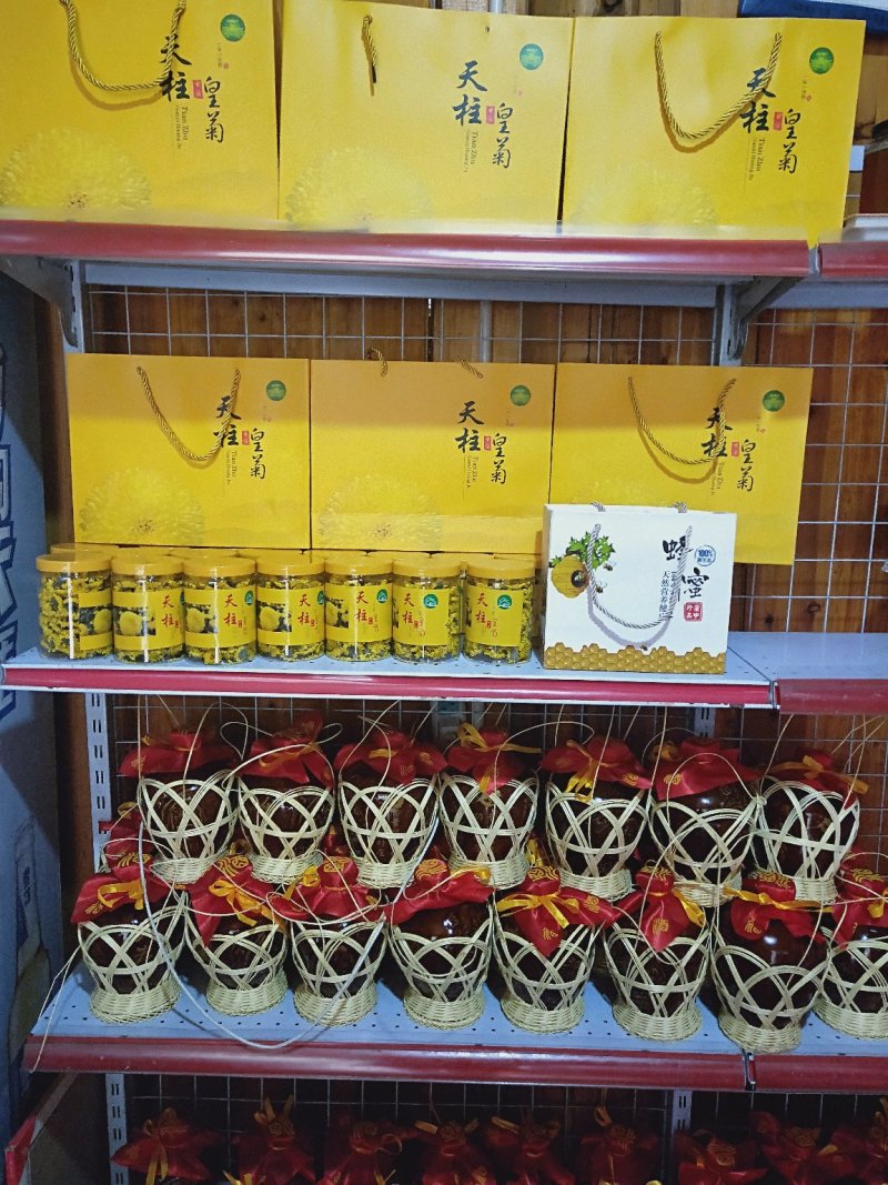 天柱黄菊