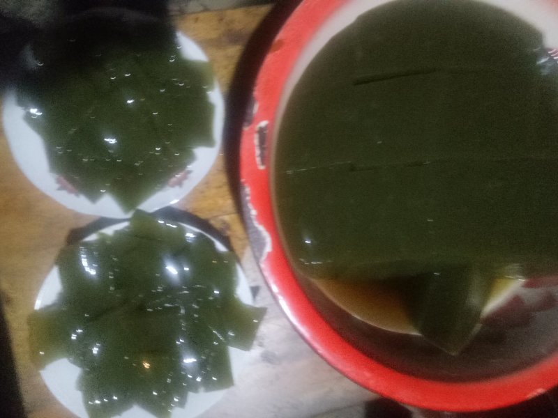 神仙豆腐树苗，树豆腐种苗