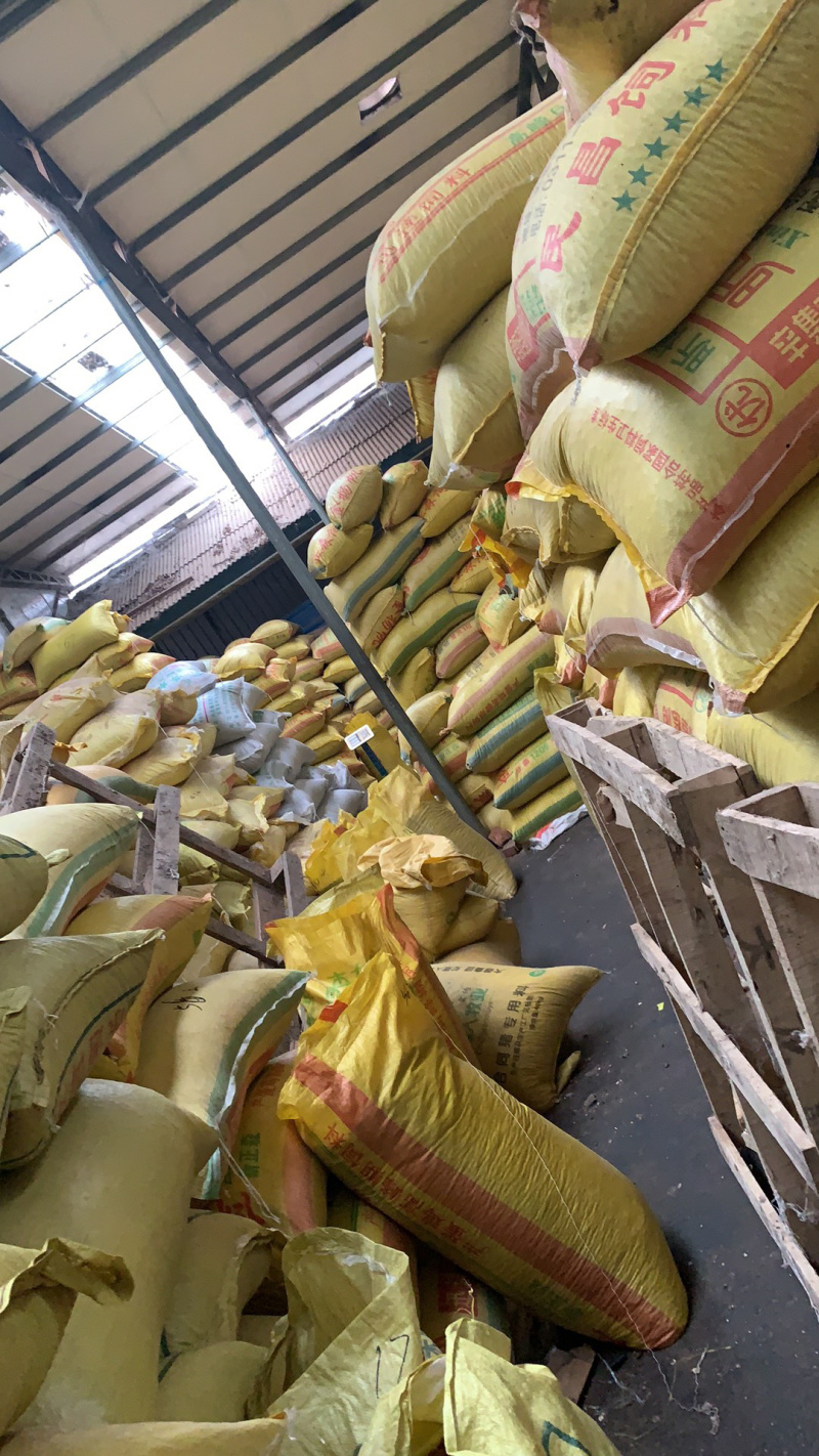 家桃仁（毛桃仁）符合药典标准，去皮家桃仁