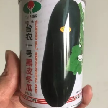 黑皮大冬瓜种子，炮弹冬瓜种子