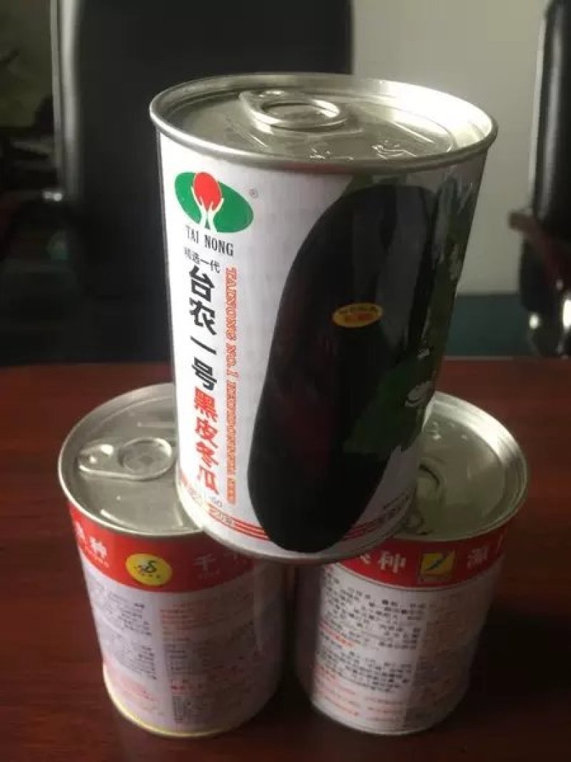 黑皮大冬瓜种子，炮弹冬瓜种子