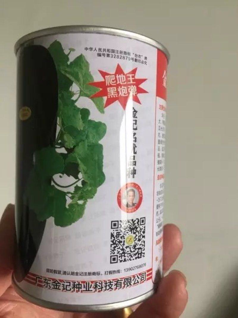黑皮大冬瓜种子，炮弹冬瓜种子