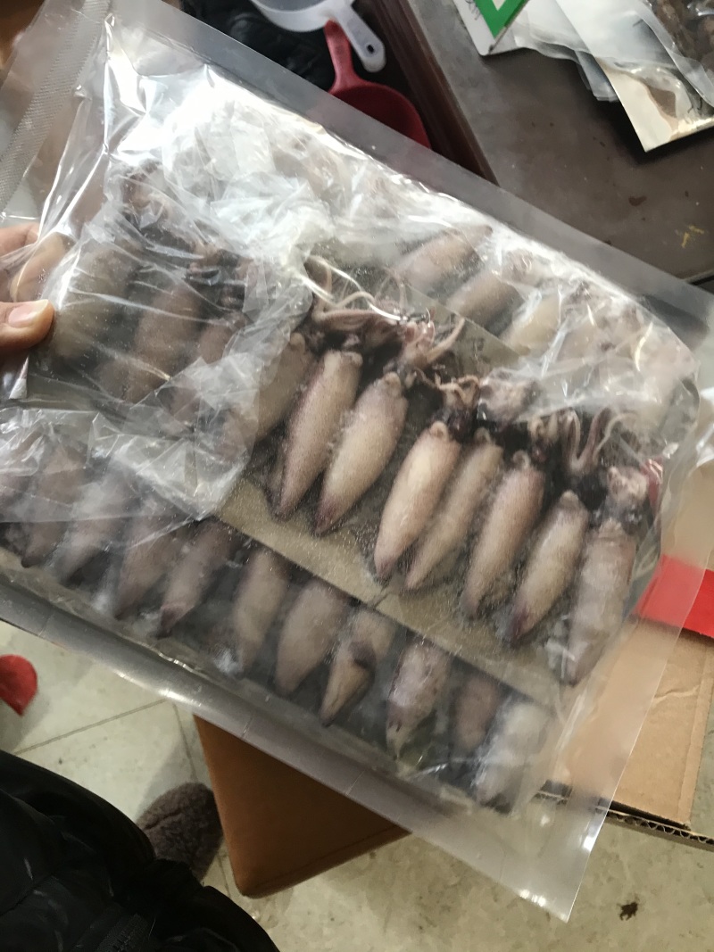 《有好货》精品饱满海兔