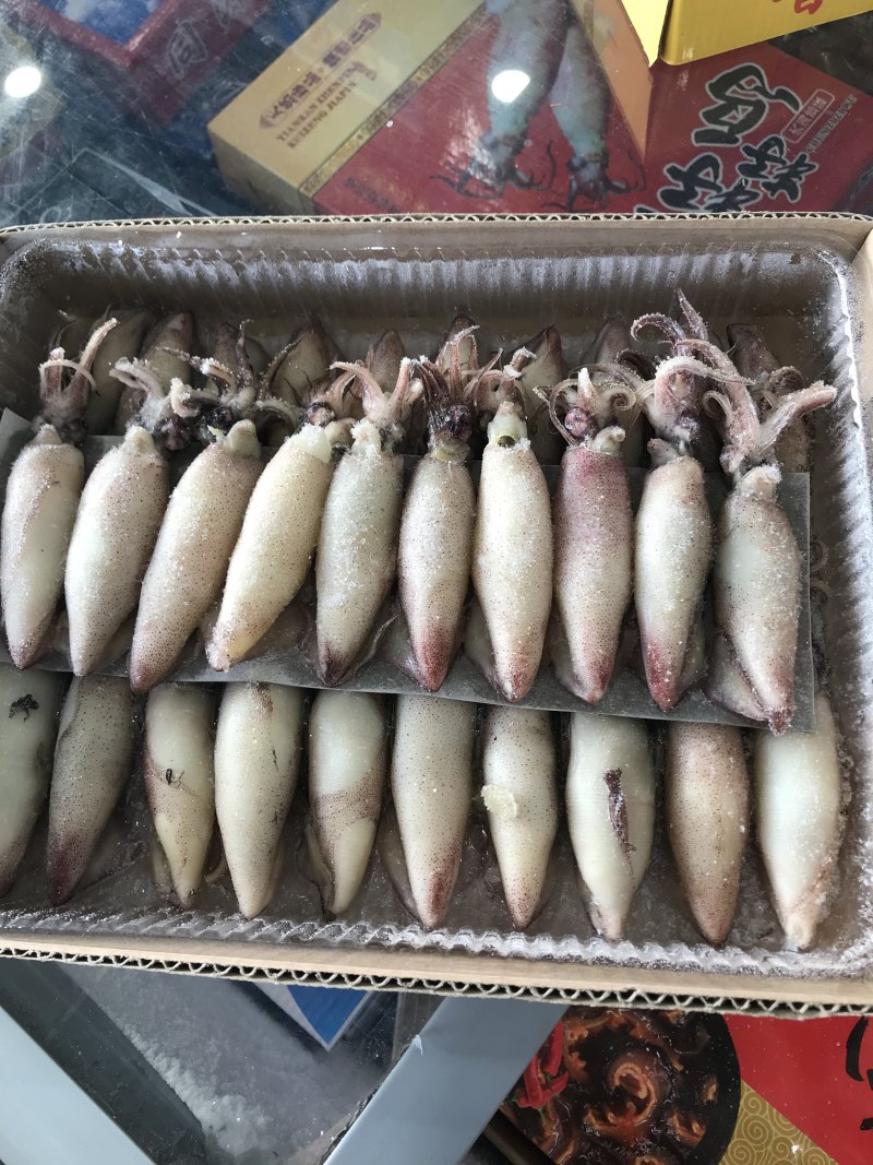 《有好货》精品饱满海兔