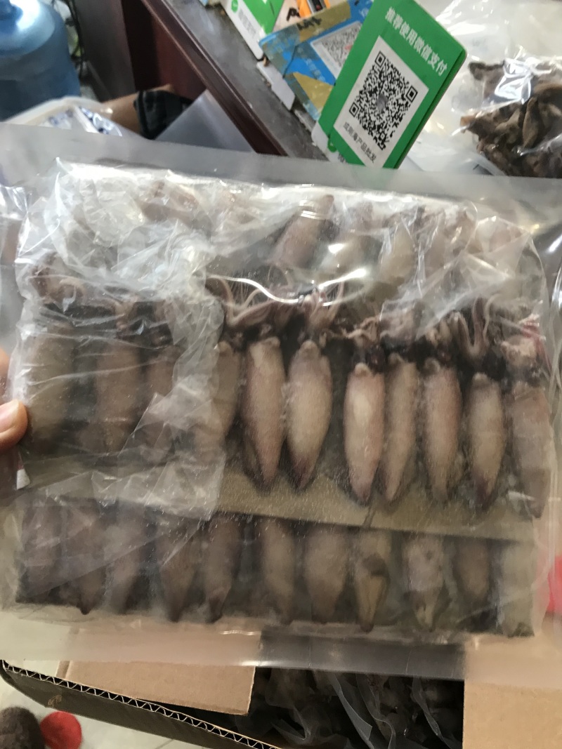 《有好货》精品饱满海兔