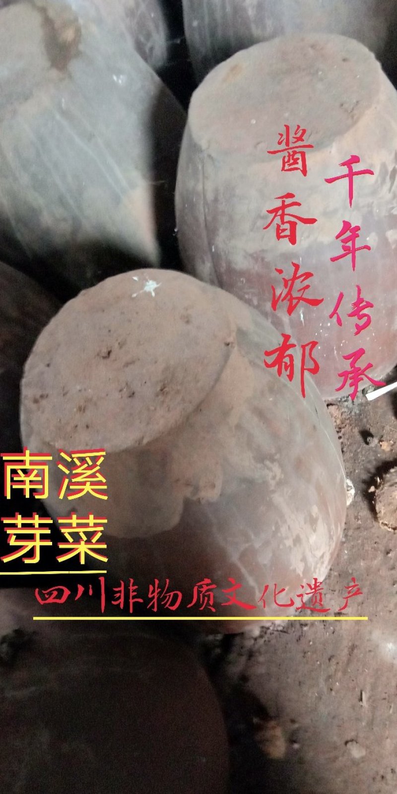 南溪芽菜梅干菜宜宾芽菜宜宾燃面调料猪儿粑包心调料