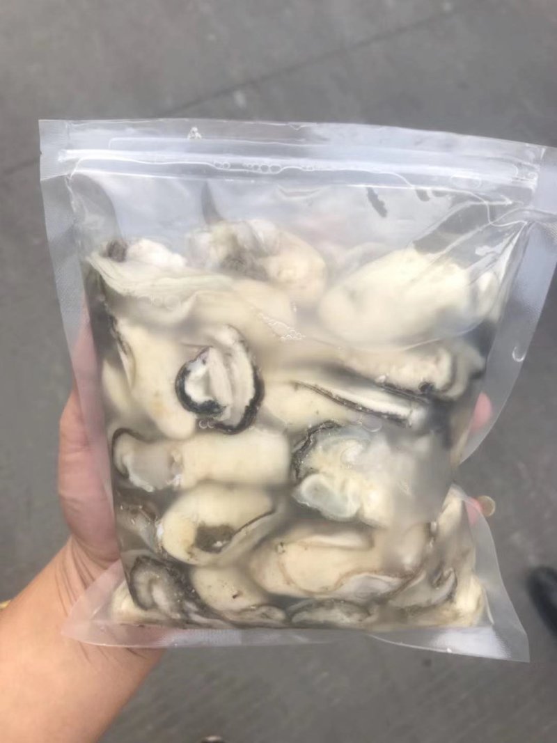 批发生蚝