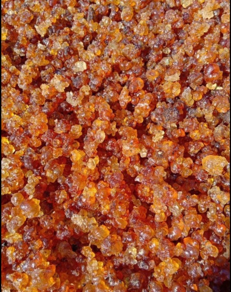 【湖北桃胶】简修颗粒黄红桃胶，桃花泪，产地直销一手货源