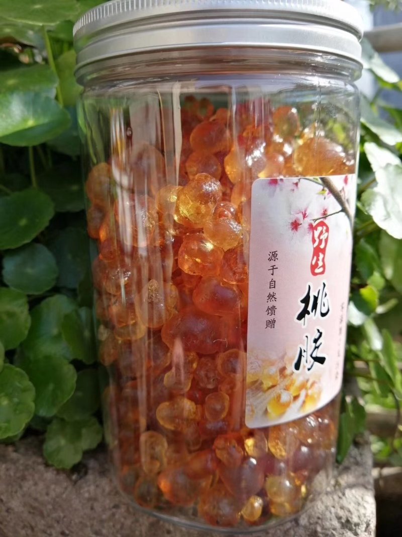 【湖北桃胶】简修颗粒黄红桃胶，桃花泪，产地直销一手货源