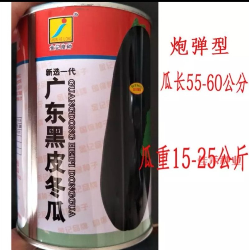 【】中晚熟白皮冬瓜种子兴蔬粉地龙特长粉皮冬瓜种子