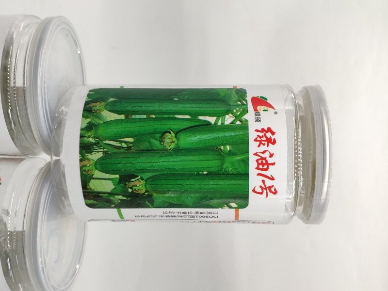 绿油一号油皮丝瓜种籽原装发货支持线上交易