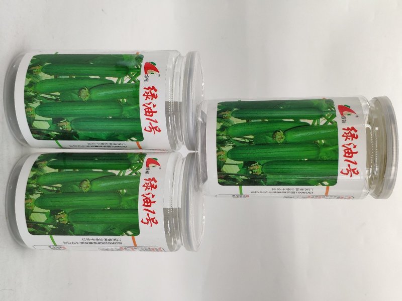 绿油一号油皮丝瓜种籽原装发货支持线上交易
