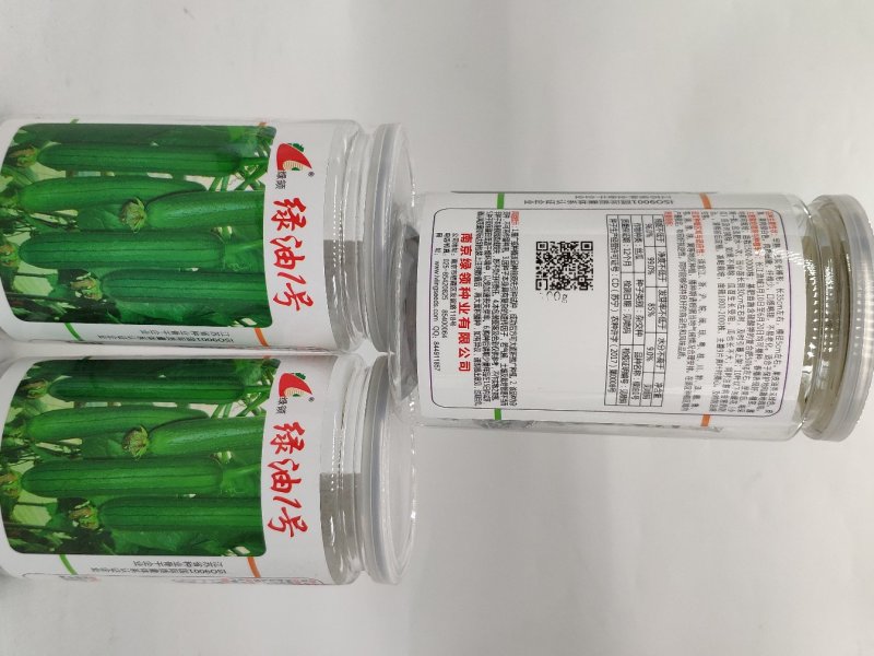 绿油一号油皮丝瓜种籽原装发货支持线上交易