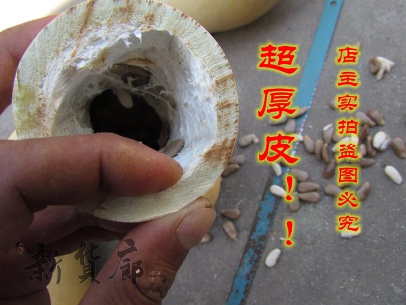 本长三河流葫芦种子，2020年新品淘宝网搜索店铺:新货廊