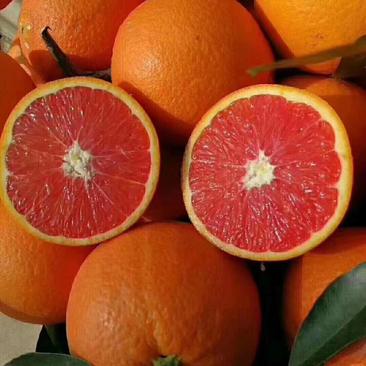 鲜果中华红橙红肉脐橙【红心脐橙】红心橙纯甜爆汁产地直销