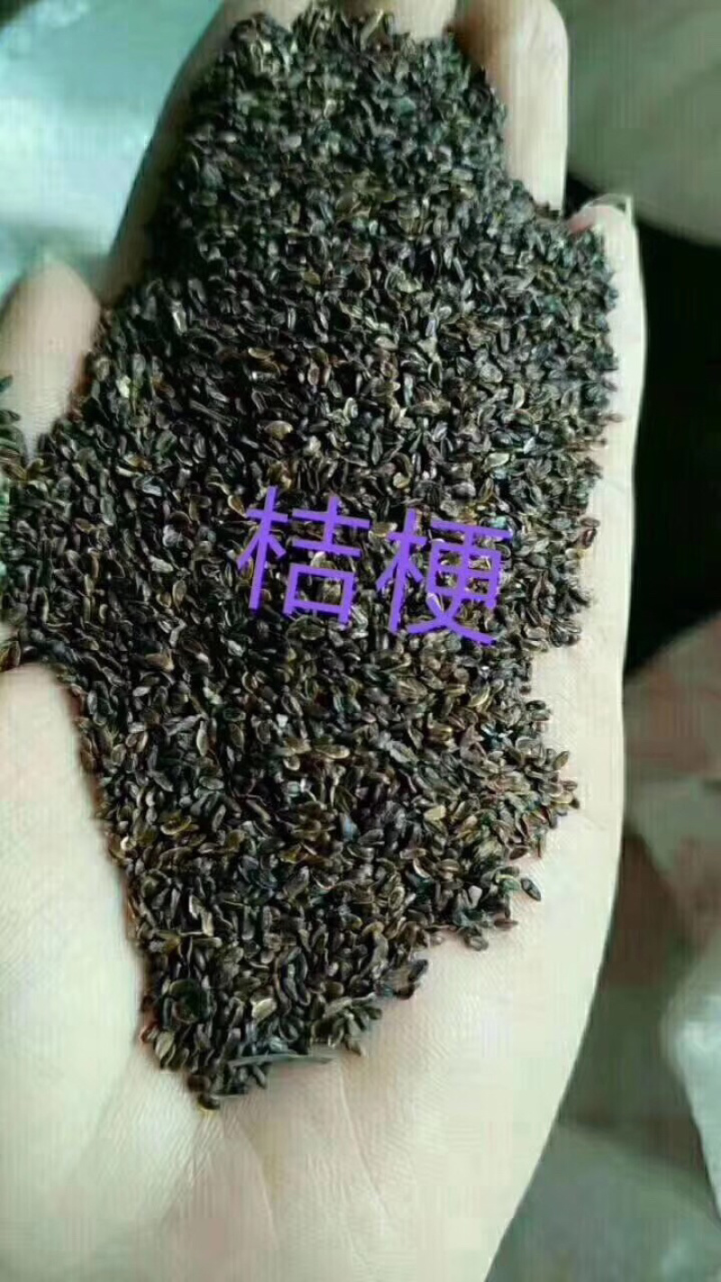 纯新桔梗籽，已过风机基地直发量大从优品质优