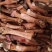 火烧牛羊头蹄，草地资源，，，，，，，，，
