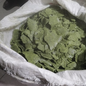 大量出售笨榨的黄豆粕和黑豆粕