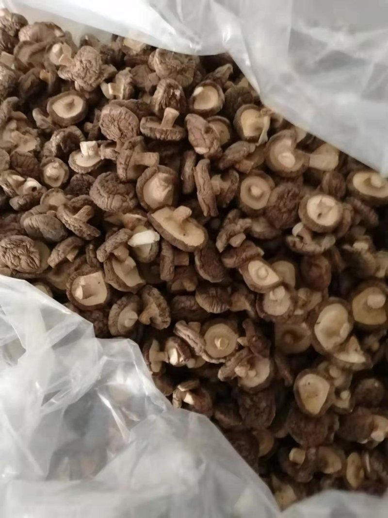 干香菇，姬松茸