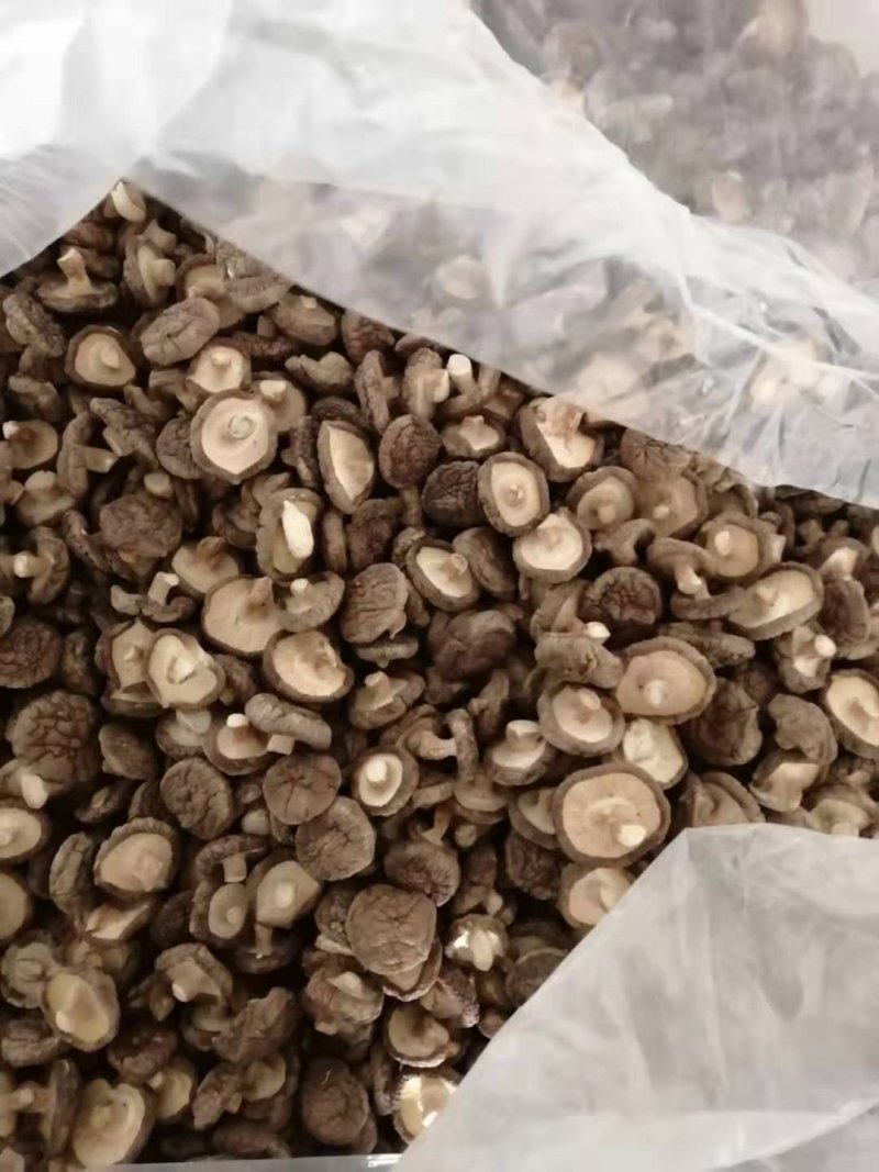 干香菇，姬松茸