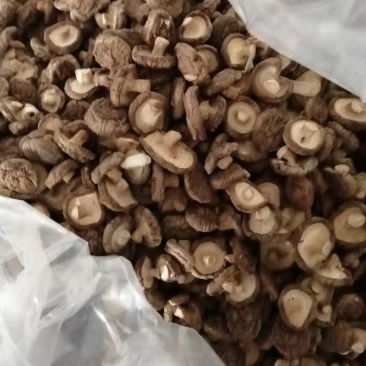 干香菇，姬松茸