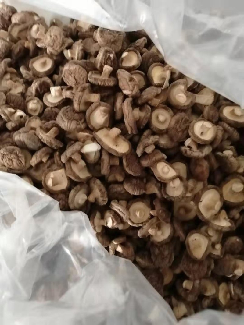 干香菇，姬松茸