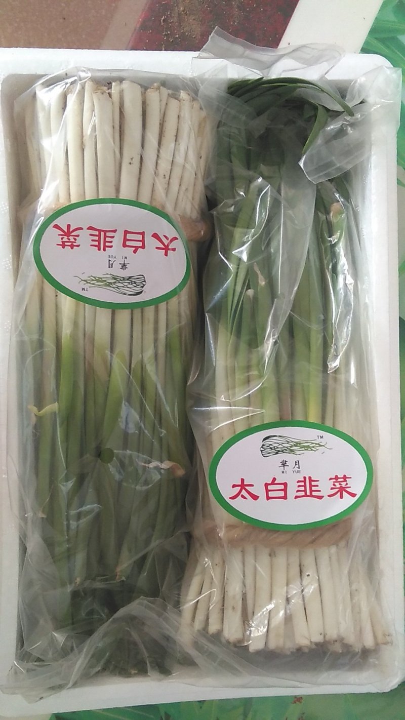 太白韭菜头茬，全国发货，口感醇香，欢迎选购