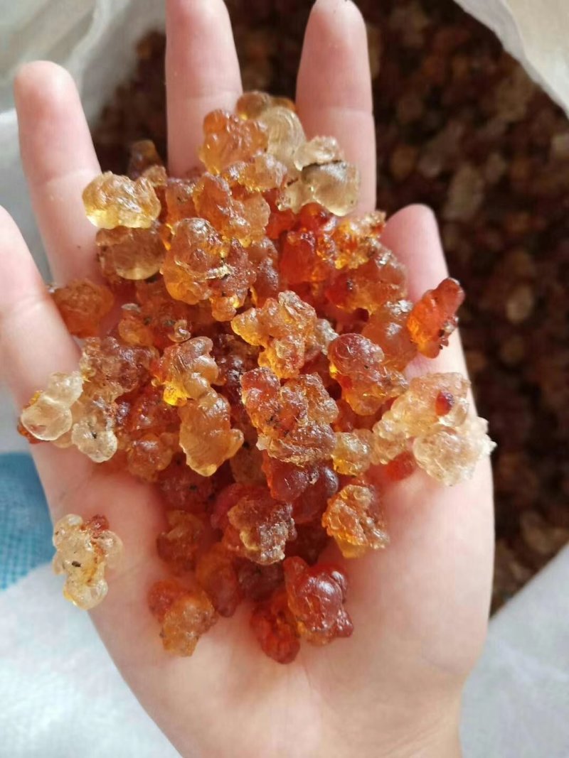 湖北中药材红黄桃胶一手货源，大量有货