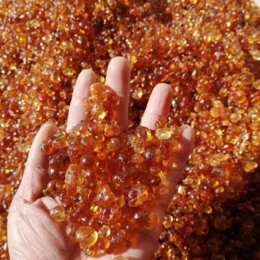 湖北中药材红黄桃胶一手货源，大量有货