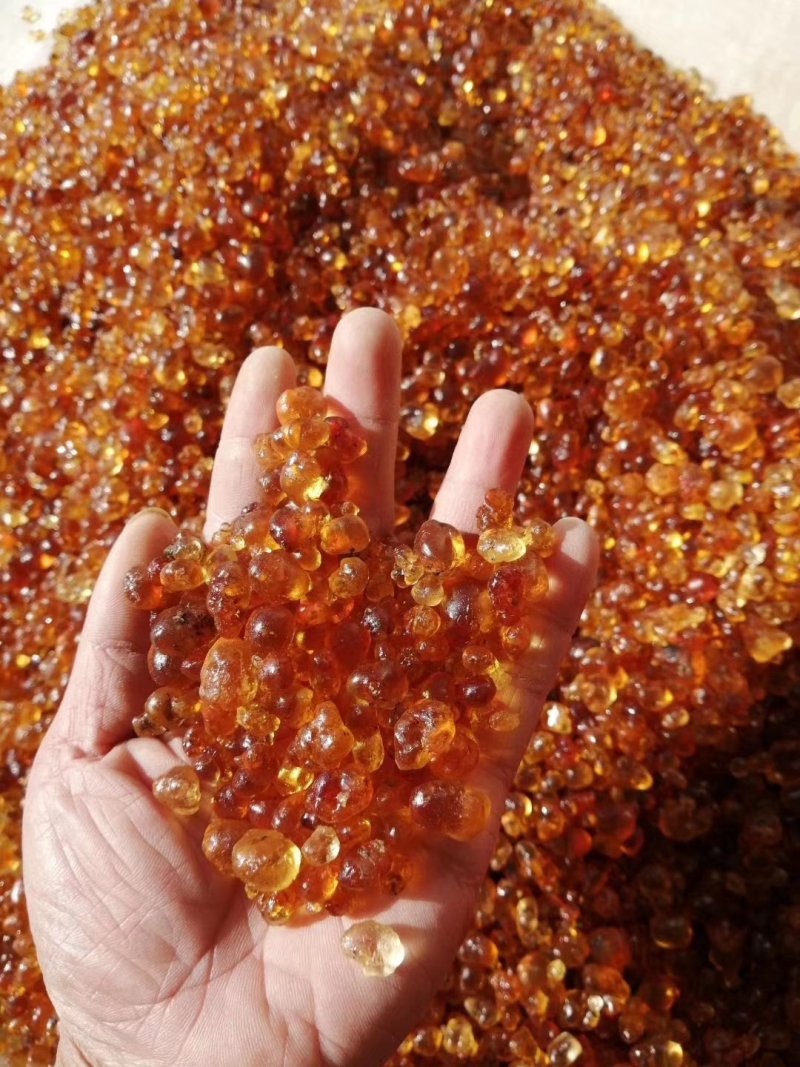 湖北中药材红黄桃胶一手货源，大量有货