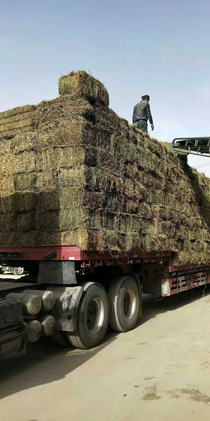 苜蓿草捆