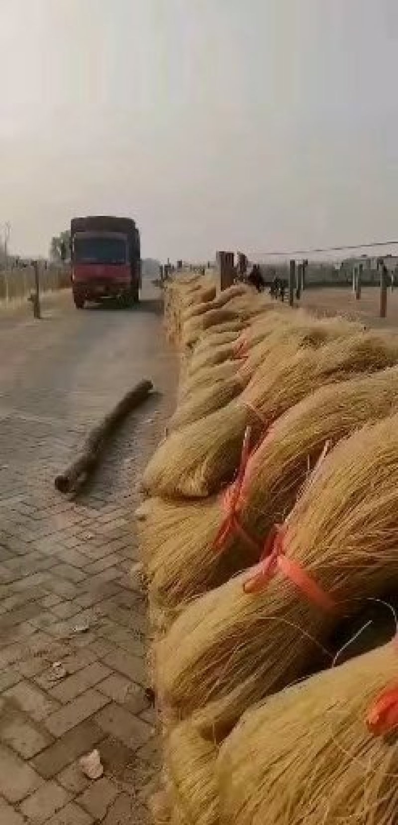 红薯粉条