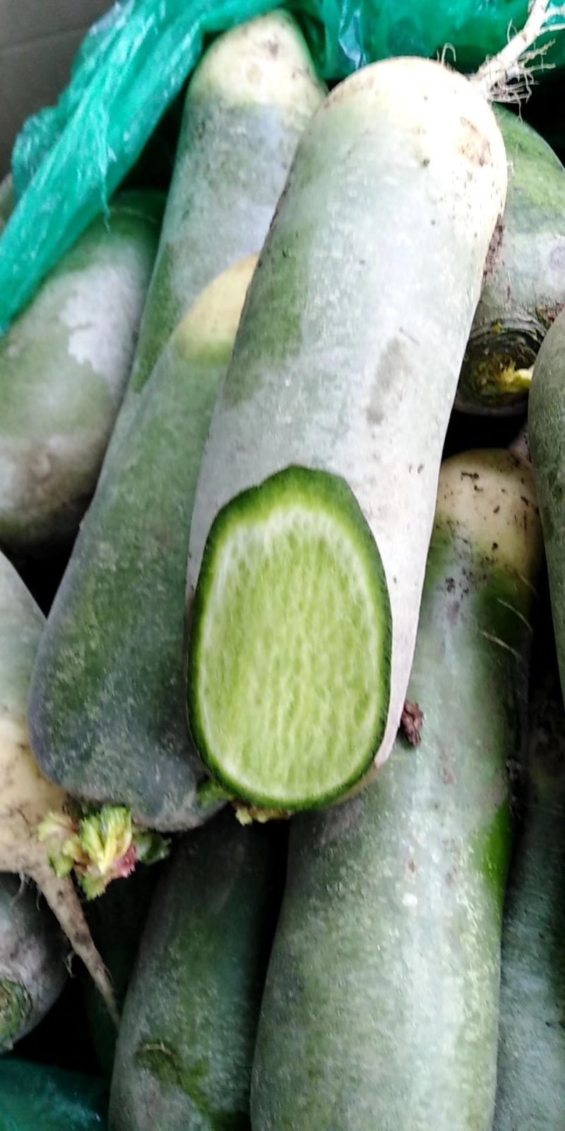 水果萝卜