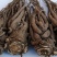 正宗岷县当归条(特大)500克/自家产品/价格便宜