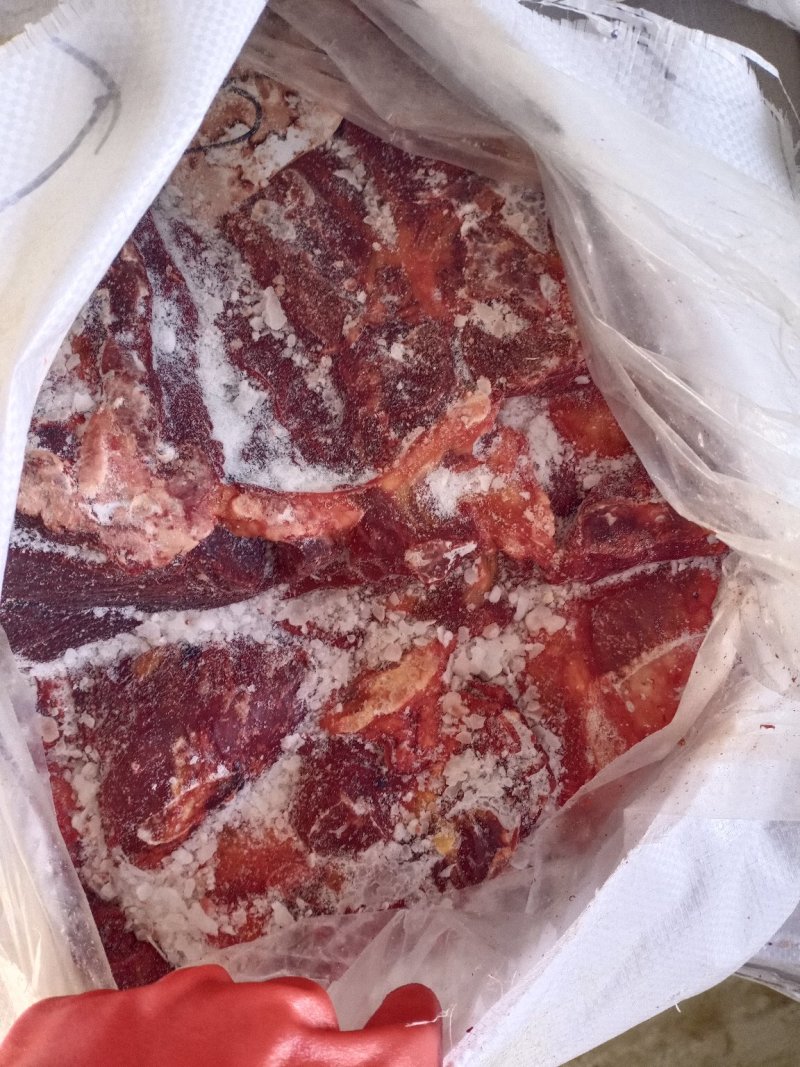 蒙古马肉，五分体蒙古马肉，新日期，成色好，低价出